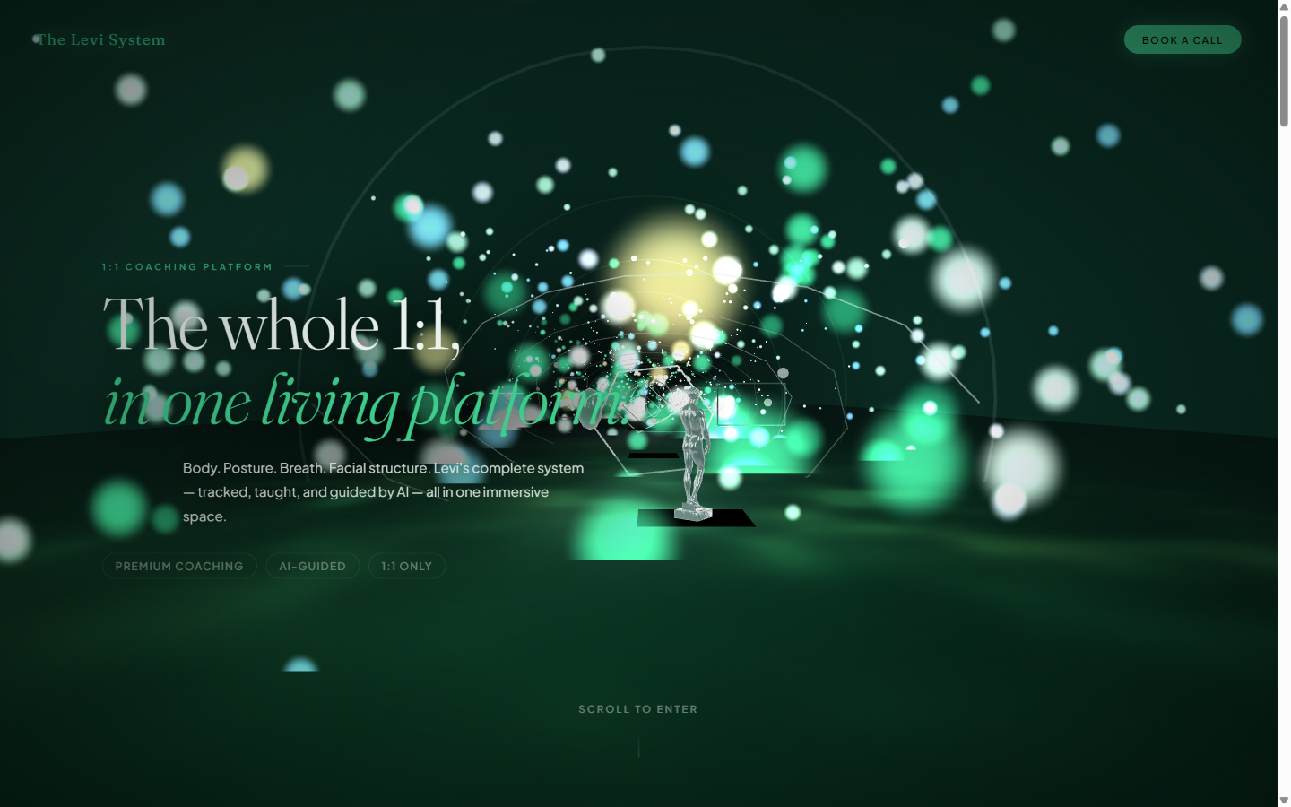 The Levi System — immersive 3D coaching world